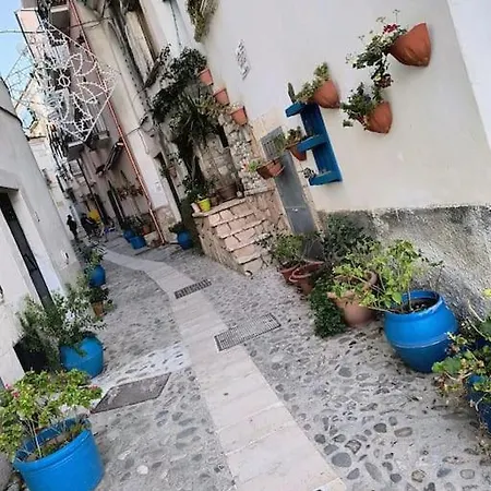 Monolocale In Vicolo Storico 