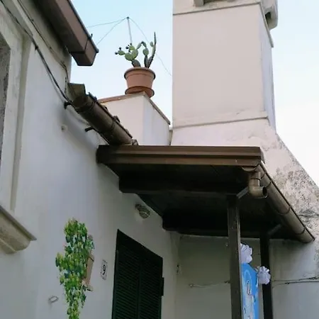 Monolocale In Vicolo Storico 
