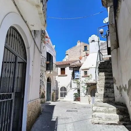 Monolocale In Vicolo Storico 