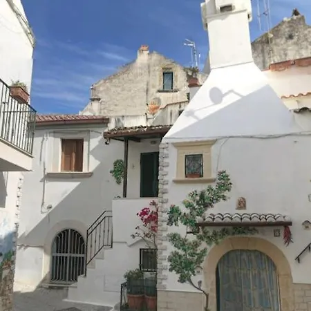 Monolocale In Vicolo Storico 