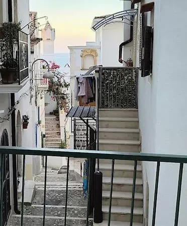 Monolocale In Vicolo Storico 