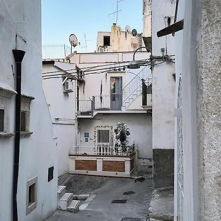 Monolocale In Vicolo Storico 