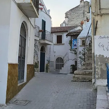 Monolocale In Vicolo Storico 