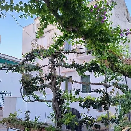 Monolocale In Vicolo Storico 