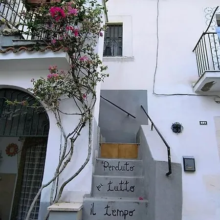Monolocale In Vicolo Storico 
