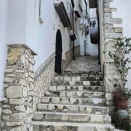 Monolocale In Vicolo Storico 
